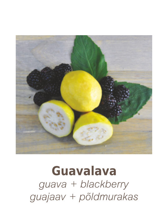 Hemp Seed Bath & Shower Gel Guavalava