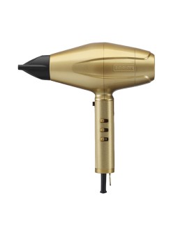 Babyliss PRO GoldFX Hair Dryer